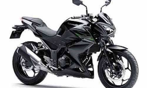 Keluarga Baru Kawasaki, Z300 Khusus Pasar Eropa