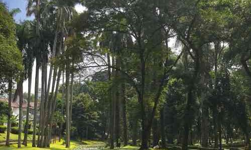 Taman di Jakarta Selatan untuk Wisata Akhir Pekan